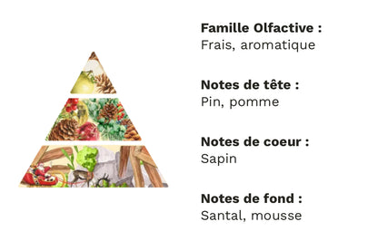 Murmures des Forêts