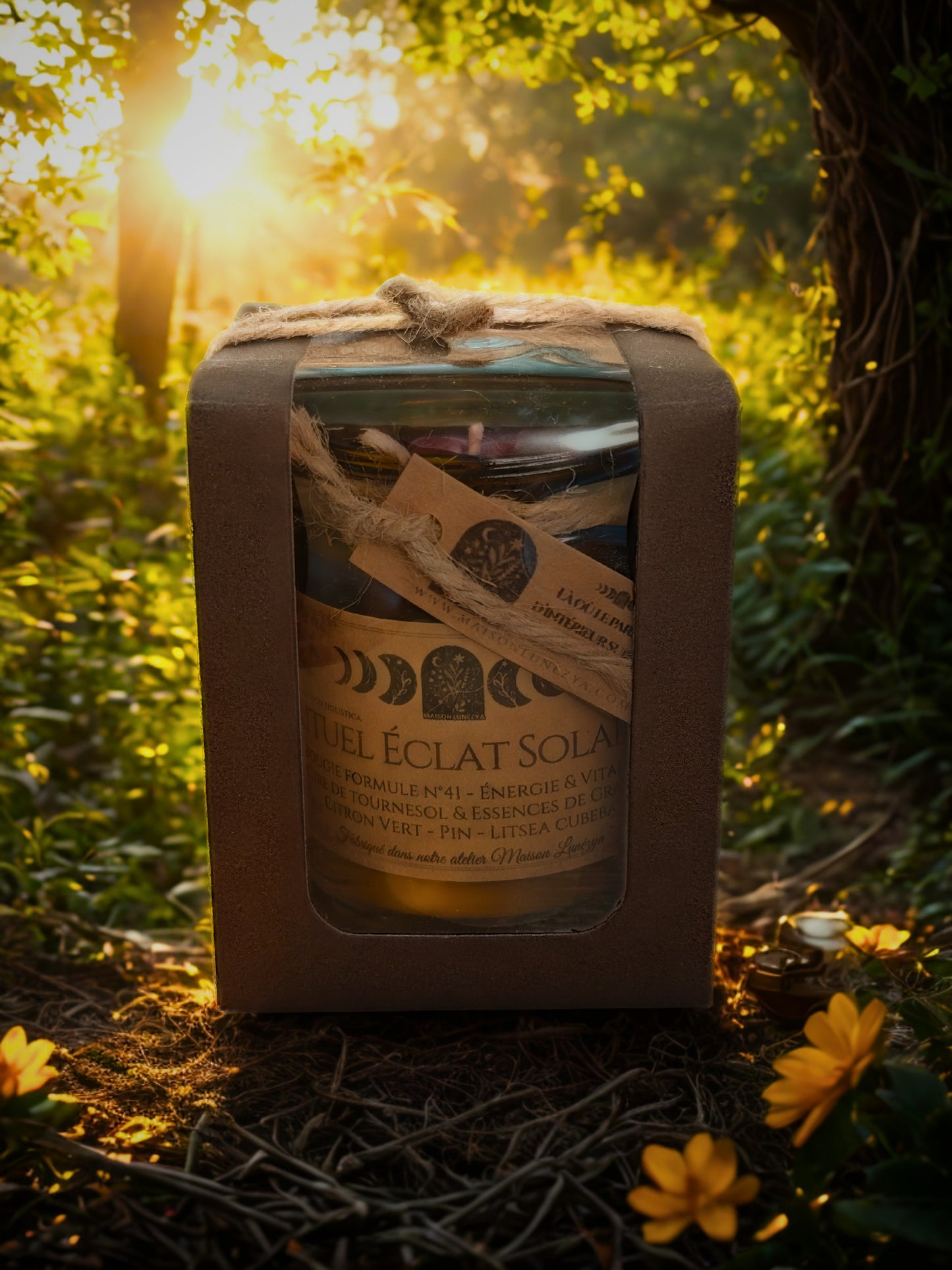 Éclat Solaire — Holistica — Formule n°41 : Énergie & Vitalité